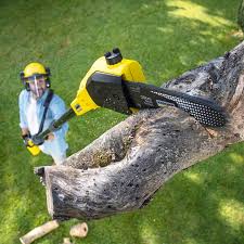 Best Lawn Mowing  in Montclair, CA